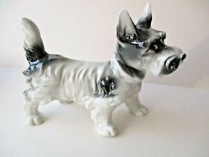 Cane Schnauzer, Terrier, in ceramica anni '40 era Mollica Lenci