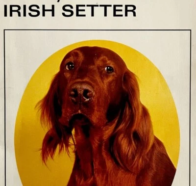 Know Your Irish Setter 1970s PB Pet Library Guide Reference Book Vintage E60 - Image 1 of 4