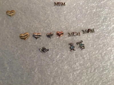 Dijes medallón de joyería personalizada Origami Owl - FAMILIA  Foto 1 de 4