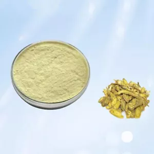 Scutellaria Baicalensis Extract Powder 85% Baicalin Skullcap 50g~500g Natural - Picture 1 of 2