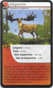 Bioviva Karte! - Megaceros - Bild 1 von 2
