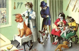 Humorvolle Katzen- und Hundepflegeszene Postkarte - Mainzer gedruckt in der Türkei - Bild 1 von 2