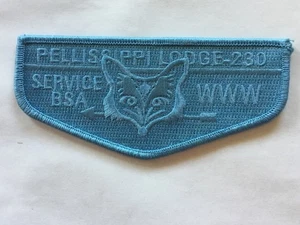 Pellissippi Lodge 230 Blue Ghost Service pocket flap - Picture 1 of 1