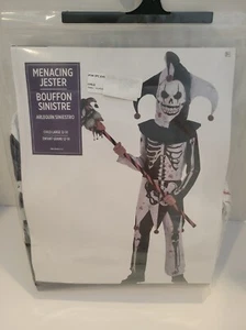 Halloween Costume - Menacing Jester - Scary Skeleton - Child Size Large 12-14 - Picture 1 of 5