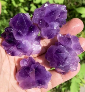 172g 4PC Raw Natural Beautiful Amethyst Flower Skeletal Quartz Crystal am004 - Picture 1 of 12