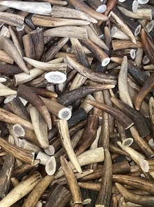 1kg OF RED DEER HORNS / ANTLER /ARTS/CRAFT/TAXIDERMY 3-6cm. - Picture 1 of 3