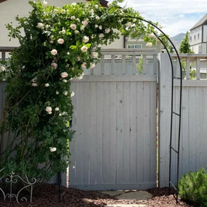 XXL Rosenbogen Metall Rankhilfe stabil Rankbogen Torbogen Gartenbogen Rosenbögen - Bild 1 von 11