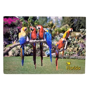 Estampilla de cancelación de lujo postal vintage de loros en sucursal en Florida Garden 1989 - Imagen 1 de 2