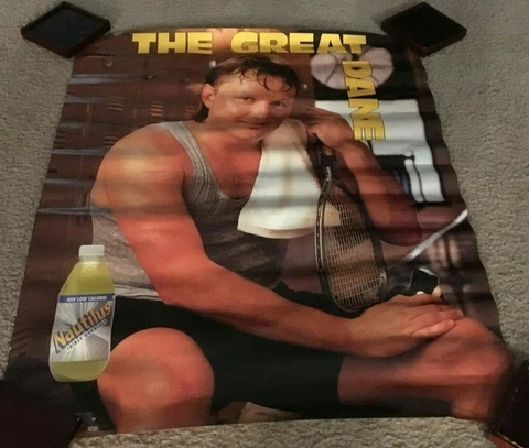 VINTAGE THE GREAT DANE MORTEN ANDERSEN POSTER NEW ORLEANS SAINTS ATLANTA FALCONS Cover