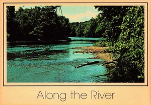 PC cromada vintage "Along The River" Northern Michigan 4 x 6 - Imagen 1 de 2