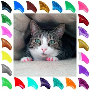 Tapas de uñas suaves con patas de color púrpura para aseo de garras de gato ~ suministro de 6 meses ADHESIVO EXTRA - Imagen 1 de 37