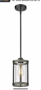 Osimir Industrial Pendant Light CH9180-1B - Picture 1 of 10
