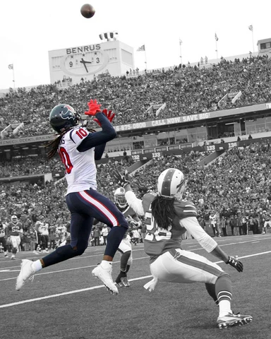 Houston Texans DEANDRE HOPKINS Glossy 8x10 Photo Spotlight Football Print Poster Cover