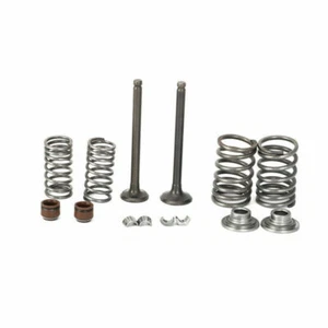 Motorcycle Intake Exhaust Valves Springs Clips Seals For Honda ZB50 ZB 50 Z50A - Picture 1 of 9