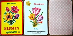 Das Schöne Blumen Quartettt v. SS & S Nr. 631 8200 - Imagen 1 de 1
