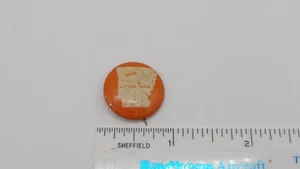 Vintage Green Duck Co. Arkansas State #25 Bear Little Rock Capital Pin Button - Picture 1 of 4