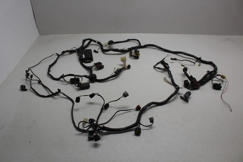 Arnés de cableado del motor principal Kawasaki Ninja Zx12r Zx-12r 2002-2005 telar de cable del motor Foto 1 de 4