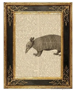 Armadillo de nueve bandas estampado artístico en página de libro vintage regalos de decoración para el hogar oficina - Imagen 1 de 3