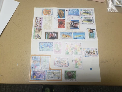 Lot Of 25 British Virgin Islands Stamps. Good Condition ChuckBooks📚 Cover