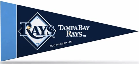 Tampa Bay Rays Felt Mini Pennants, 4" x 9" - Licensed by Rico - Made In USA Cover