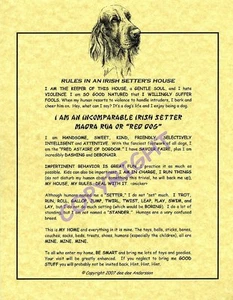 Rules In An Irish Setter's House - Picture 1 of 1