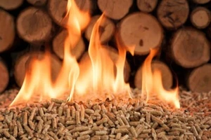 Pellets de madera premium para quemar - fáciles de encender - Imagen 1 de 2