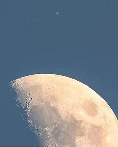 Impresión fotográfica de primer plano de la luna 8x10 - Imagen 1 de 1