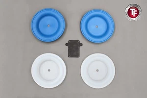 Graco Husky 15120 2-Piece Bolt-Through Diaphragm & Wet Side Repair Kit - 24W220 - Picture 1 of 2