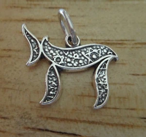 Sterling Silver 14x19mm Jewish Chai sign with Star of David details Charm - Picture 1 of 3