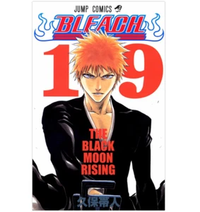 Manga - Bleach (19) Japanese Version - Picture 1 of 2