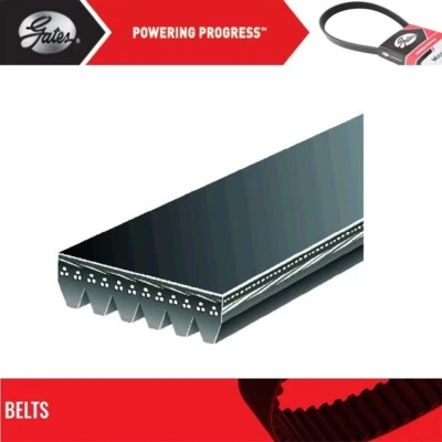 Puertas de cinturón Serpentine para GMC C1500 SUBURBAN 1998-1998 V8-6,5 L Foto 1 de 4