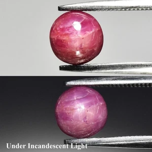 💎 1.30ct Round Natural Purplish Red 6 Ray Star Ruby - Unheated, Malawi Gemstone - Picture 1 of 6