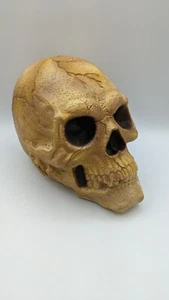 Vintage Skull Head Halloween Rubber Horror Glow in the Dark Prop 10" - Imagen 1 de 10