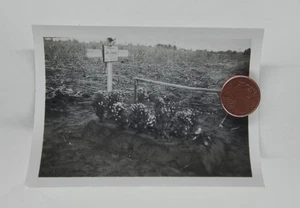 Foto Grab eines deutschen Soldaten 1941 - Bild 1 von 2