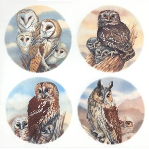Owl Barn Little Long Eared Tawny Bird Overglaze Waterslide Ceramic Decals - Picture 1 of 5