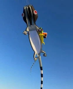new 14M Large 3D Kites models Original Software kite gecko large kite - Picture 1 of 4