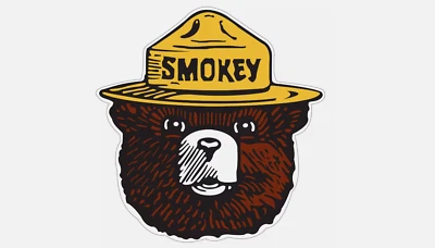 HANDMADE Smokey Bear Sticker Vinyl Sticker Decal Laptop Wall Mirror Cup Tumblr Locker