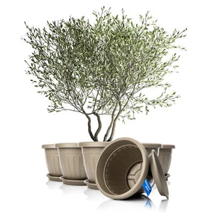 6x Blumentopf mit Untersetzer rund 50xH38 cm Mokka/braun Pflanzkübel - Bild 1 von 7