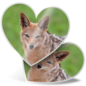 2 x Heart Stickers 15 cm - Black Backed Jackal Animal #12492 - Bild 1 von 8
