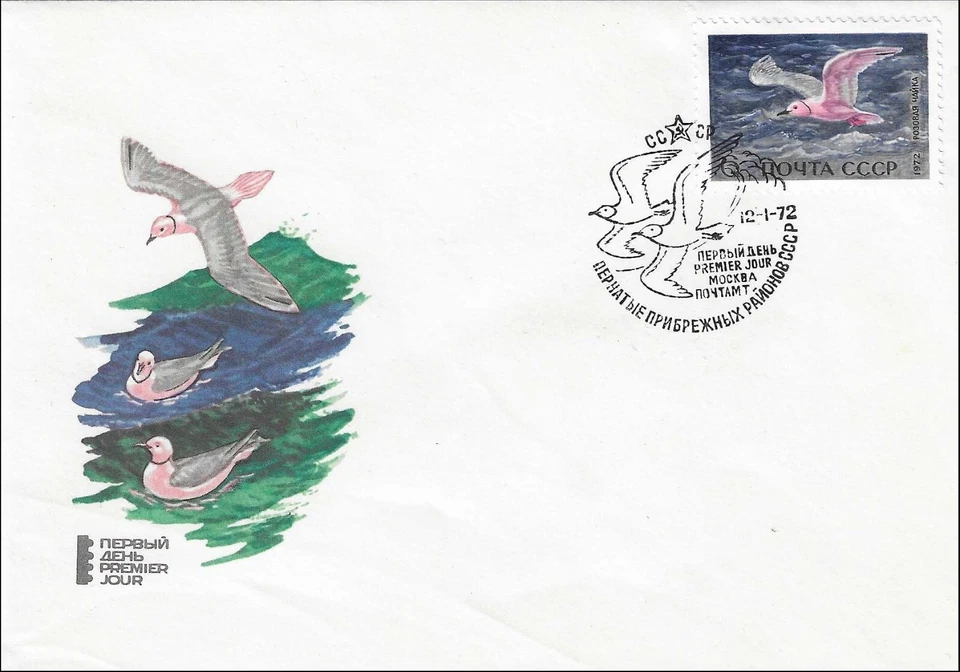 Gaviota Rosa Pájaro Gaviota Rosa Barnstaple Como Nueva Rusia FDC 1972 Foto 1 de 1