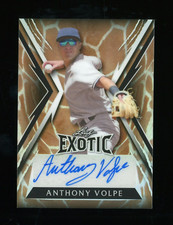 2023 Leaf Exotic Giraffe Anthony Volpe Auto Autograph RC 4/5 Rookie YANKEES