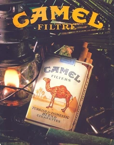 Camel Cigarettes - Filter - Original Vintage Print Ad 1988 !! - Picture 1 of 1