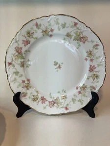 Dinner Plate 10" Maple Leaf by Hutschenreuther Selb Pasco 7578 Bavaria Germany - Picture 1 of 4