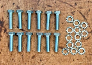 Tornillos de bisagra a puerta Chevy 1955-1957, juego de 12-NUEVOS - Imagen 1 de 3