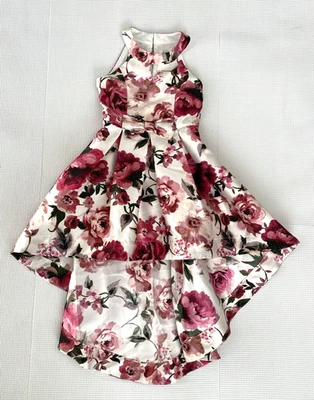 Speech Kids Girls High Low Wedding Pageant Dress Size 7 Pink Red Roses Sparkle - Image 1 of 4