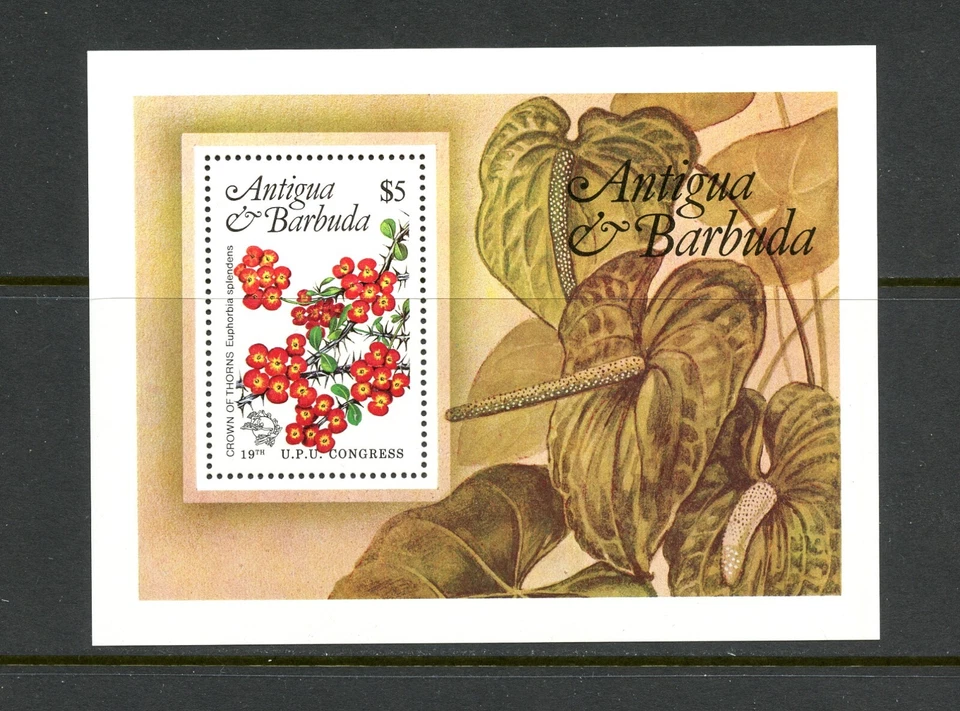 N756   Antigua   1984    flora  local flowers   sheet   MNH - Image 1 of 1