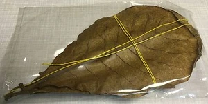 Tropical Almond Tree Leaves 10 Pcs 10-15cm Natural Matured + Dried Top Quality - Picture 1 of 1