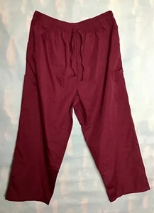 PANTALONES EXFOLIANTES REGLAN PLUSSIZE 3X BORGOÑA ENFERMERÍA MÉDICOS AZULES - Imagen 1 de 3