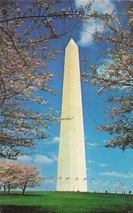 Vintage Washington DC Kirschblüte Washington Monument Postkarte - Bild 1 von 2