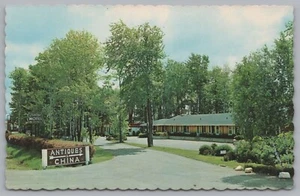 Treetop Motel And Restaurant In The Golden Triangle, postal vintage - Imagen 1 de 2